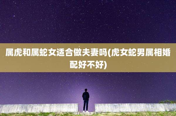 属虎和属蛇女适合做夫妻吗(虎女蛇男属相婚配好不好)