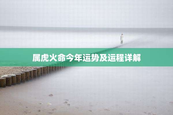 属虎火命今年运势及运程详解