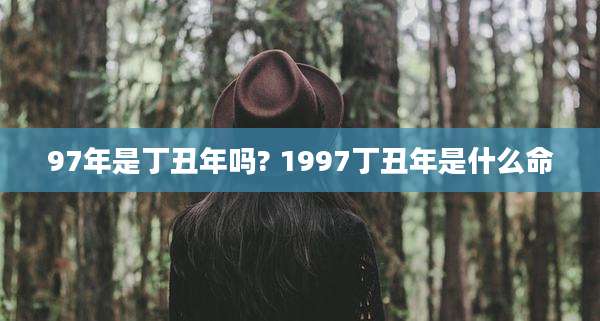 97年是丁丑年吗? 1997丁丑年是什么命