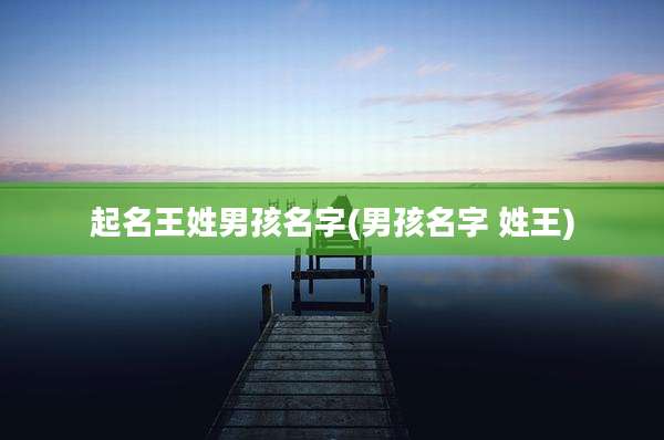 起名王姓男孩名字(男孩名字 姓王)