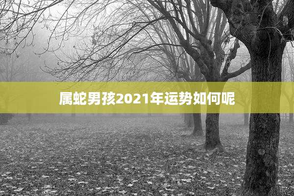 属蛇男孩2021年运势如何呢