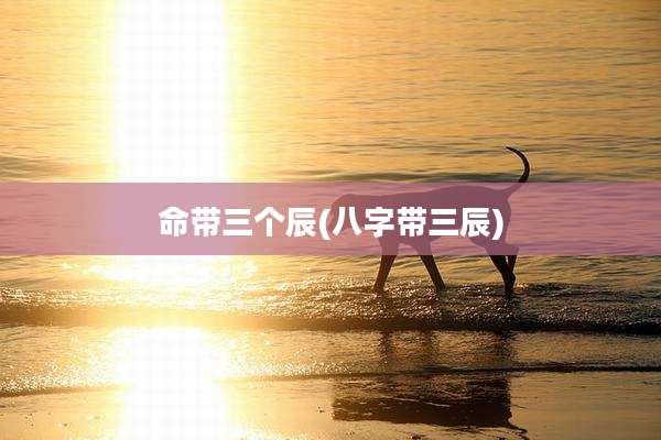 命带三个辰(八字带三辰)