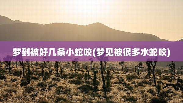 梦到被好几条小蛇咬(梦见被很多水蛇咬)
