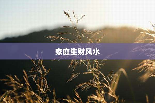 家庭生财风水