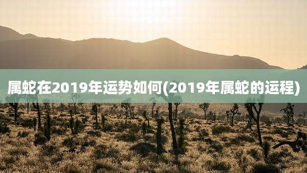 属蛇在2019年运势如何(2019年属蛇的运程)