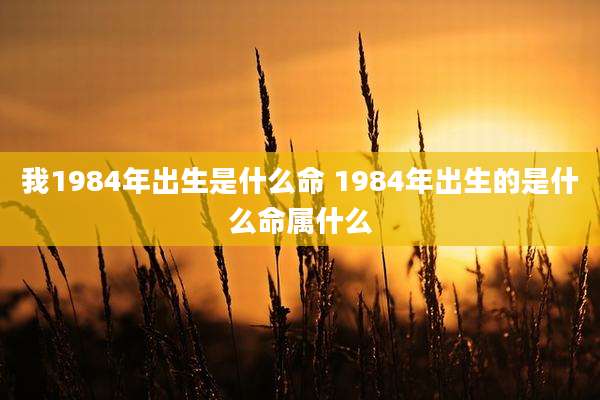 我1984年出生是什么命 1984年出生的是什么命属什么