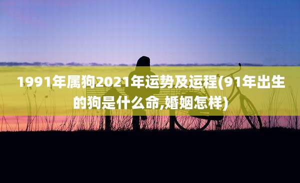 1991年属狗2021年运势及运程(91年出生的狗是什么命,婚姻怎样)
