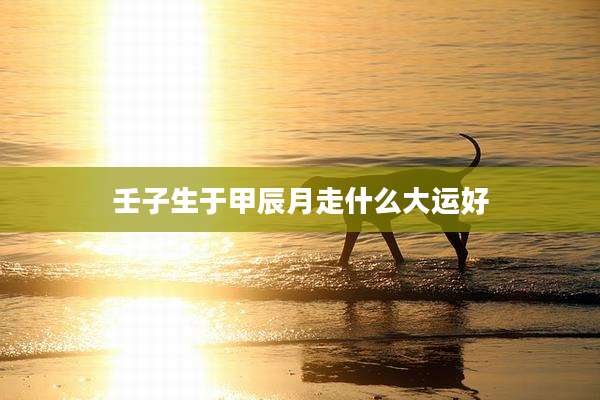 壬子生于甲辰月走什么大运好