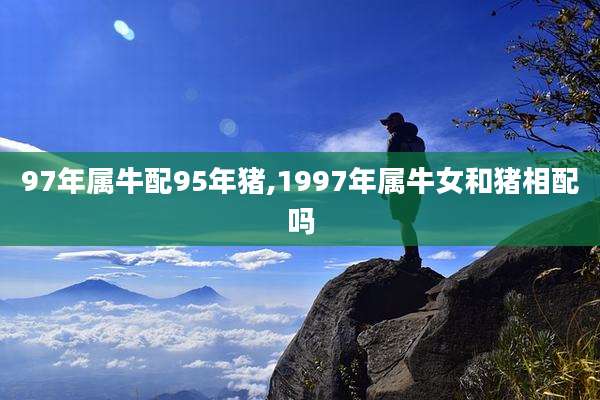 97年属牛配95年猪,1997年属牛女和猪相配吗