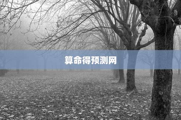 算命得预测网