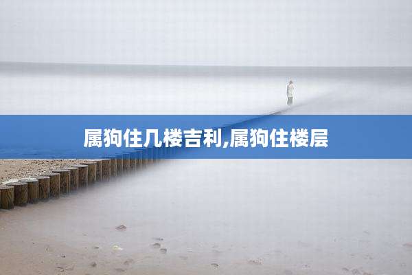属狗住几楼吉利,属狗住楼层