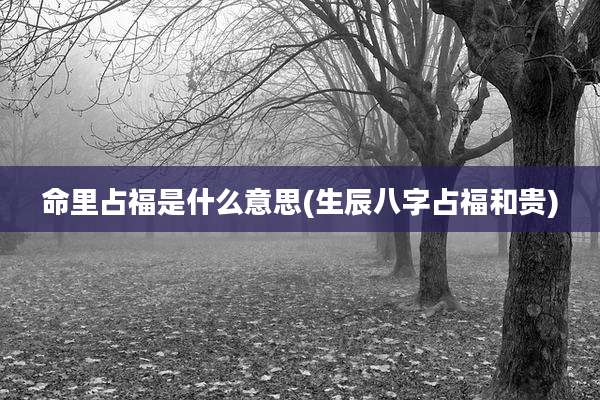 命里占福是什么意思(生辰八字占福和贵)