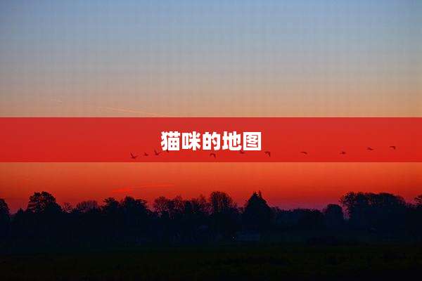 猫咪的地图