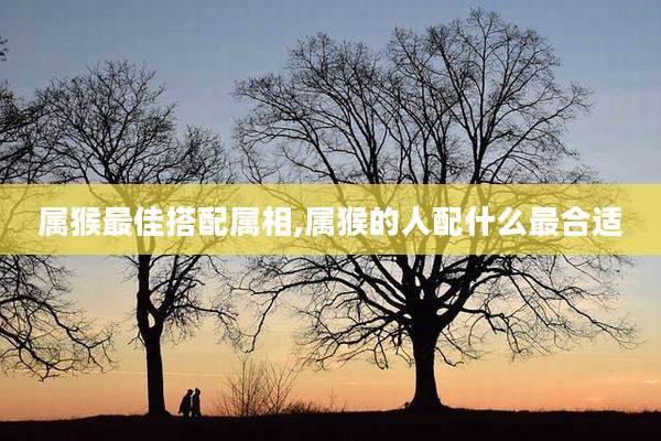 属猴最佳搭配属相,属猴的人配什么最合适