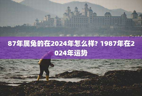 87年属兔的在2024年怎么样? 1987年在2024年运势