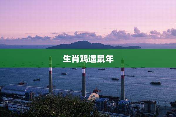 生肖鸡遇鼠年