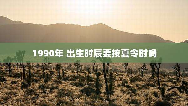 1990年 出生时辰要按夏令时吗