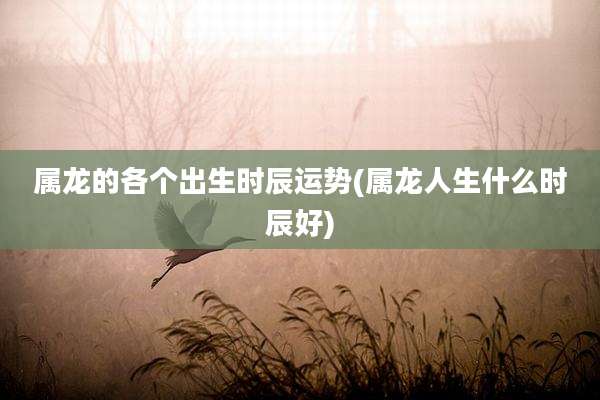 属龙的各个出生时辰运势(属龙人生什么时辰好)