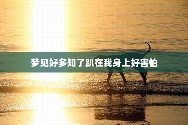 梦见好多知了趴在我身上好害怕