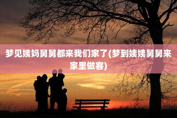 梦见姨妈舅舅都来我们家了(梦到姨姨舅舅来家里做客)