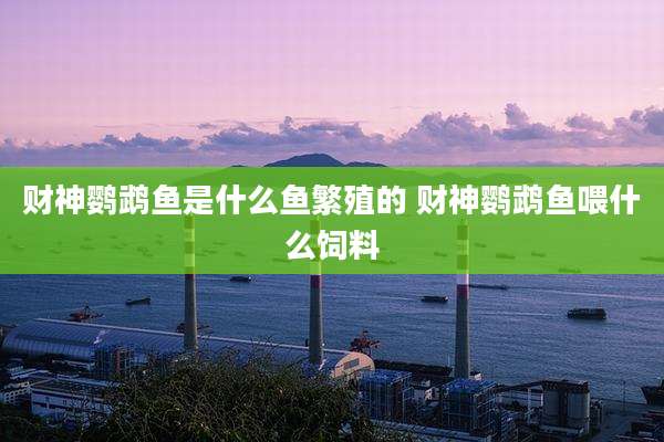 财神鹦鹉鱼是什么鱼繁殖的 财神鹦鹉鱼喂什么饲料