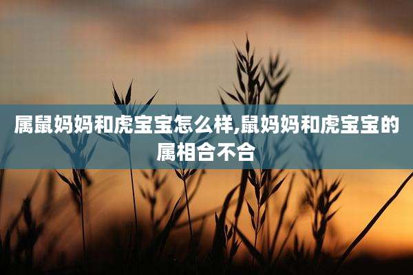 属鼠妈妈和虎宝宝怎么样,鼠妈妈和虎宝宝的属相合不合