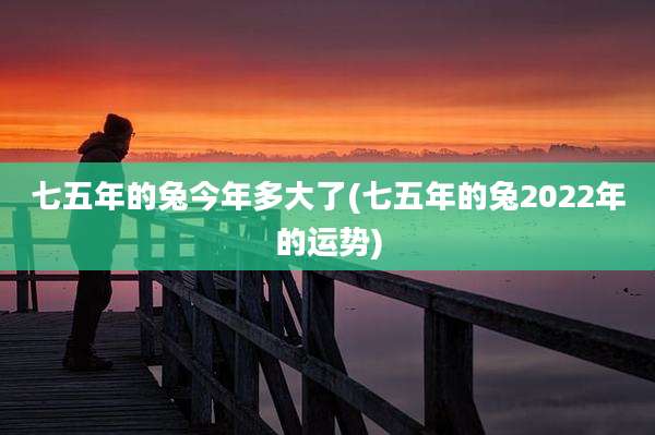 七五年的兔今年多大了(七五年的兔2022年的运势)
