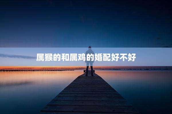 属猴的和属鸡的婚配好不好