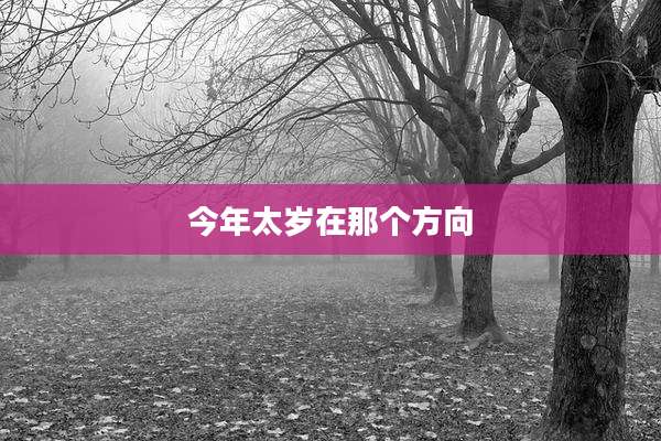 今年太岁在那个方向