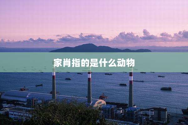 家肖指的是什么动物