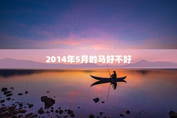 2014年5月的马好不好