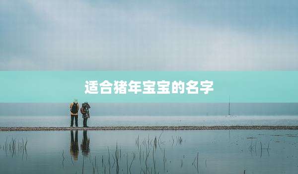 适合猪年宝宝的名字