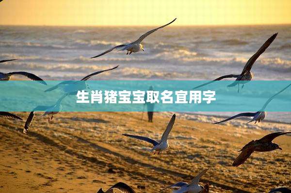 生肖猪宝宝取名宜用字