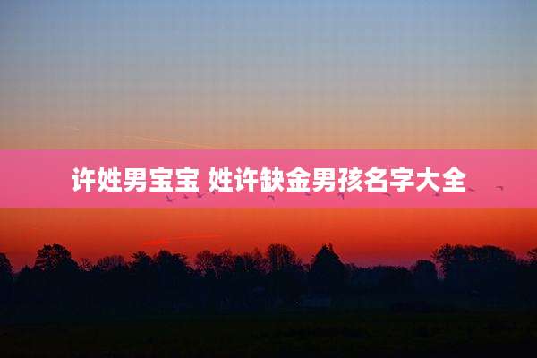 许姓男宝宝 姓许缺金男孩名字大全