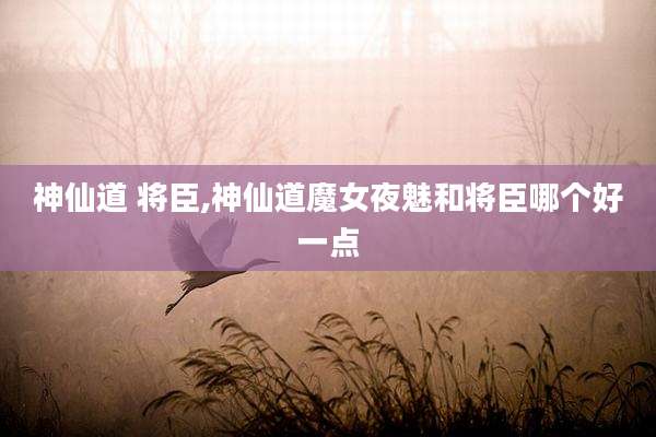 神仙道 将臣,神仙道魔女夜魅和将臣哪个好一点