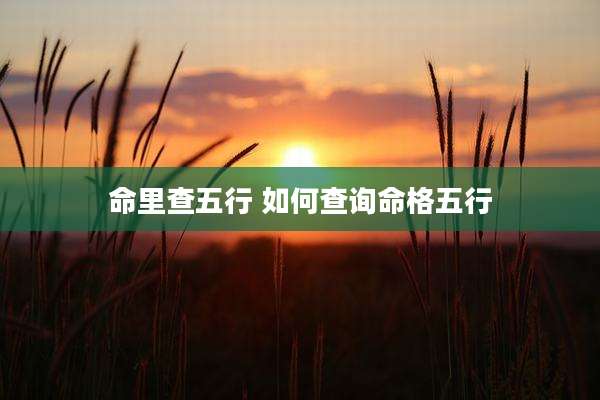 命里查五行 如何查询命格五行