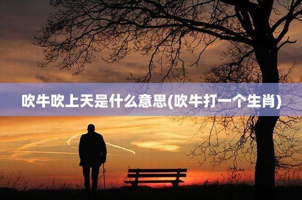 吹牛吹上天是什么意思(吹牛打一个生肖)