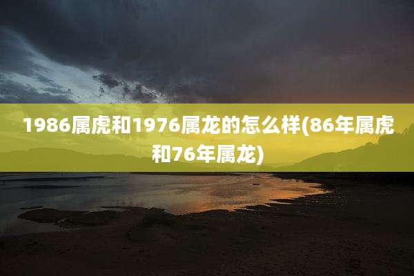 1986属虎和1976属龙的怎么样(86年属虎和76年属龙)