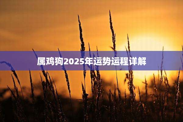 属鸡狗2025年运势运程详解