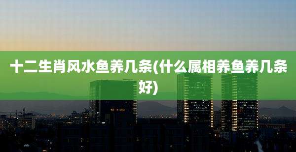 十二生肖风水鱼养几条(什么属相养鱼养几条好)