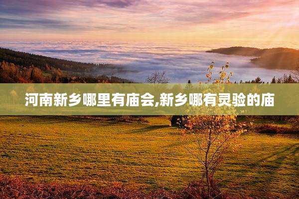 河南新乡哪里有庙会,新乡哪有灵验的庙