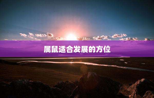 属鼠适合发展的方位
