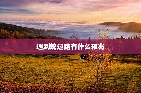 遇到蛇过路有什么预兆