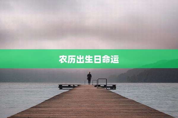 农历出生日命运