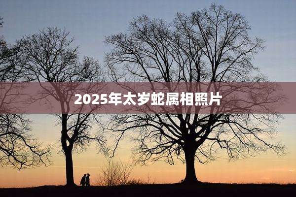 2025年太岁蛇属相照片