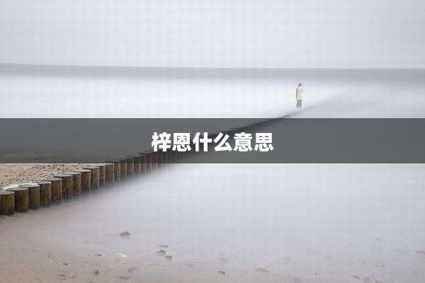 梓恩什么意思