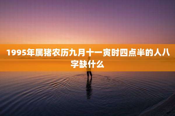 1995年属猪农历九月十一寅时四点半的人八字缺什么
