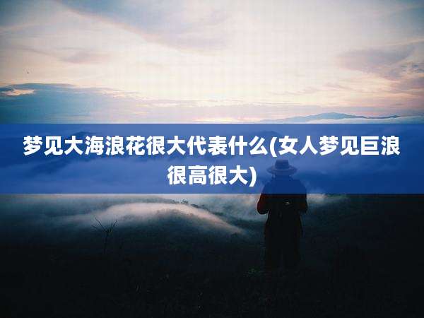 梦见大海浪花很大代表什么(女人梦见巨浪很高很大)