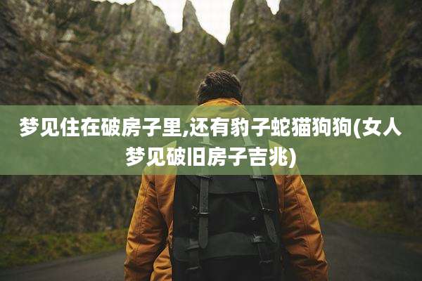 梦见住在破房子里,还有豹子蛇猫狗狗(女人梦见破旧房子吉兆)