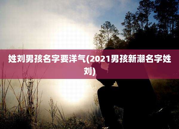 姓刘男孩名字要洋气(2021男孩新潮名字姓刘)